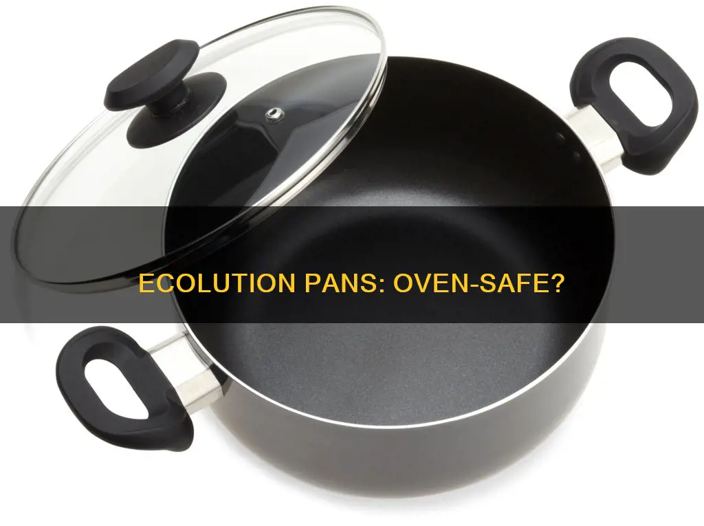 are ecolution pans oven safe