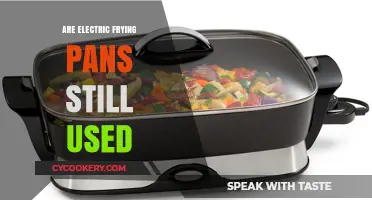 Are Electric Frying Pans Still a Kitchen Essential Today?