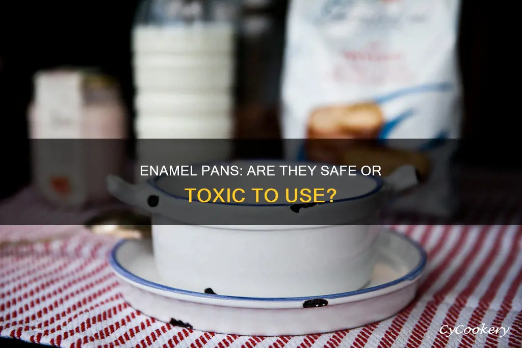 are enamel pans toxic
