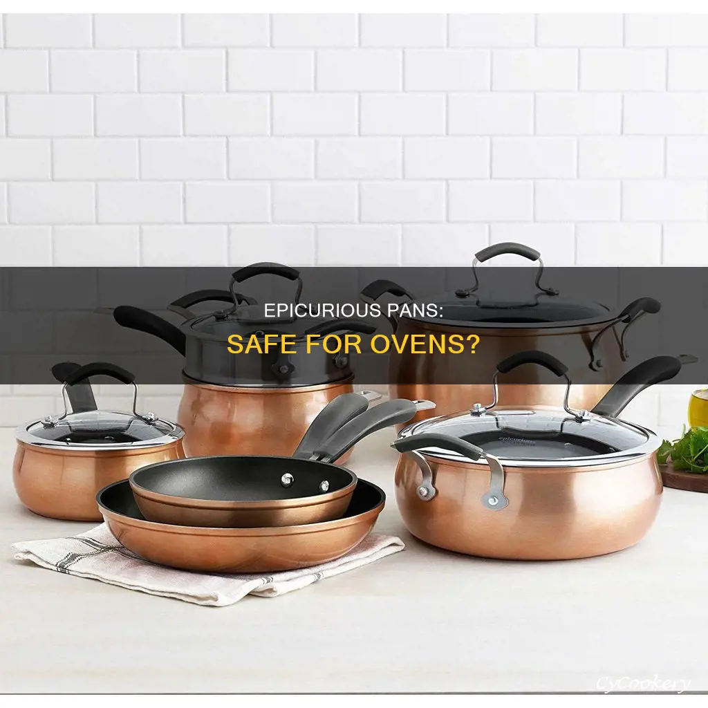 are epicurious pans oven safe