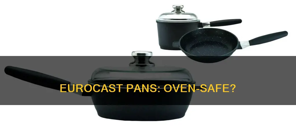 are eurocast pans oven safe