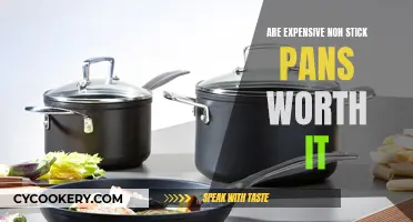 Non-Stick Pan Splurge: Worth the Money?