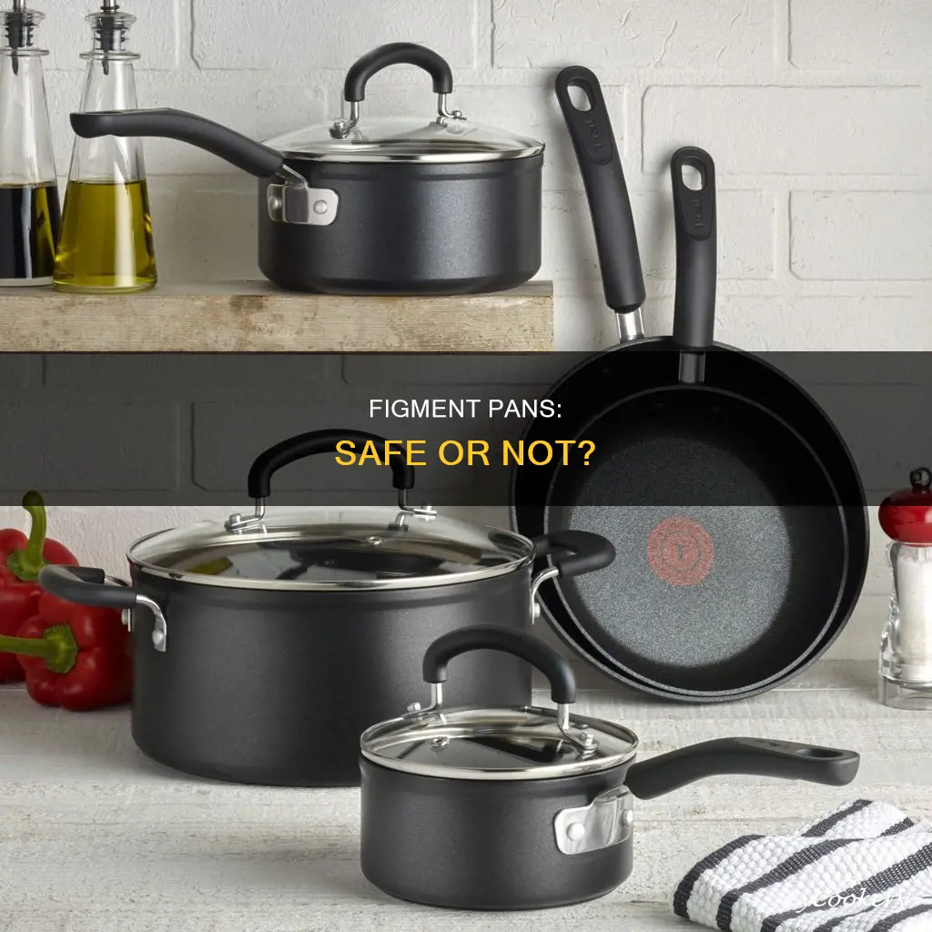 are figment pans safe