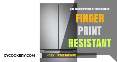 Are Fisher Paykel Fridges Fingerprint Resistant? A Detailed Review