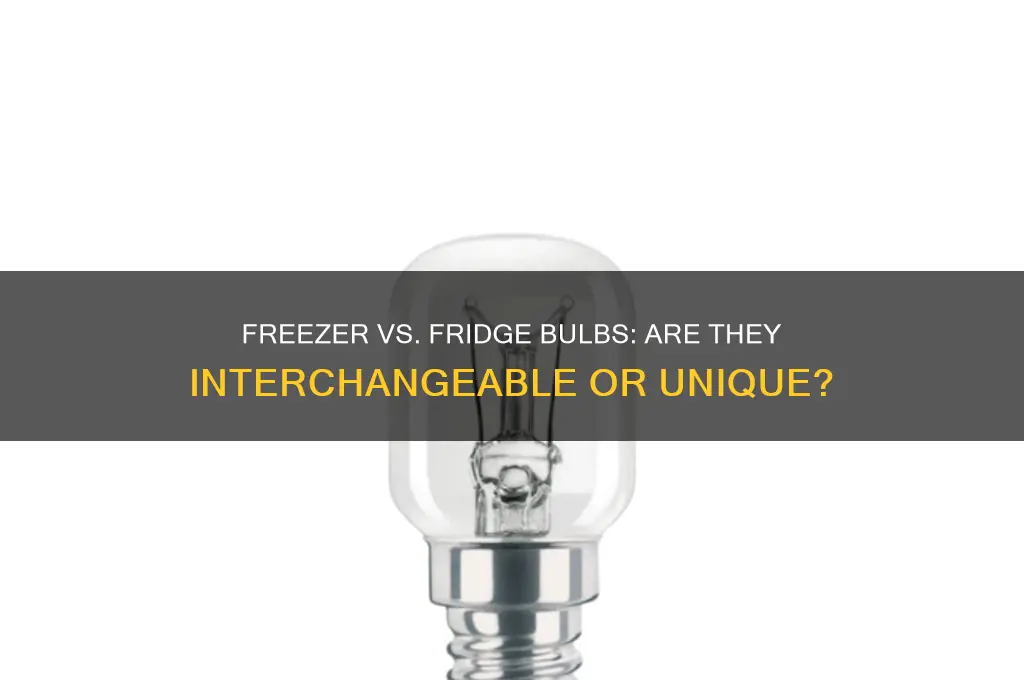 are freezer light bulbs different from refrigerator bulbs