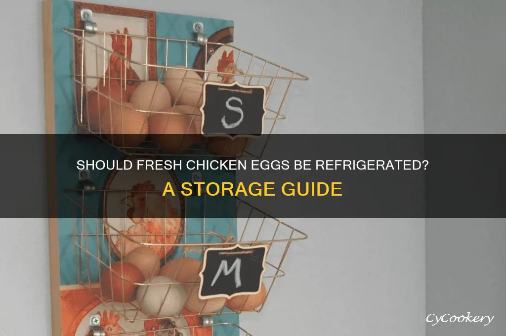 are fresh chicken eggs supposed to be refrigerated
