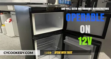 Can Full-Sized Motorhome Fridges Run Efficiently on 12V Power?