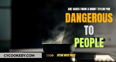 Teflon Pan Gases: Harmful or Harmless?