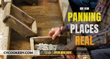 Gem Panning: Real or Fake?