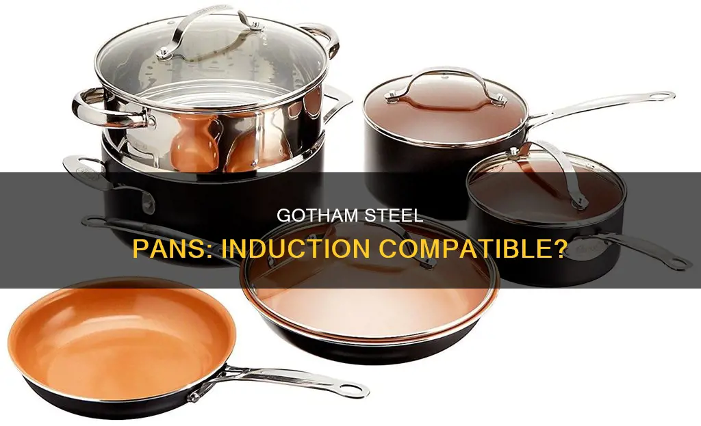 are gotham steel pans induction compatible