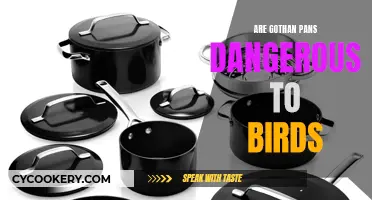 Gothan Pans: A Danger to Our Feathered Friends?