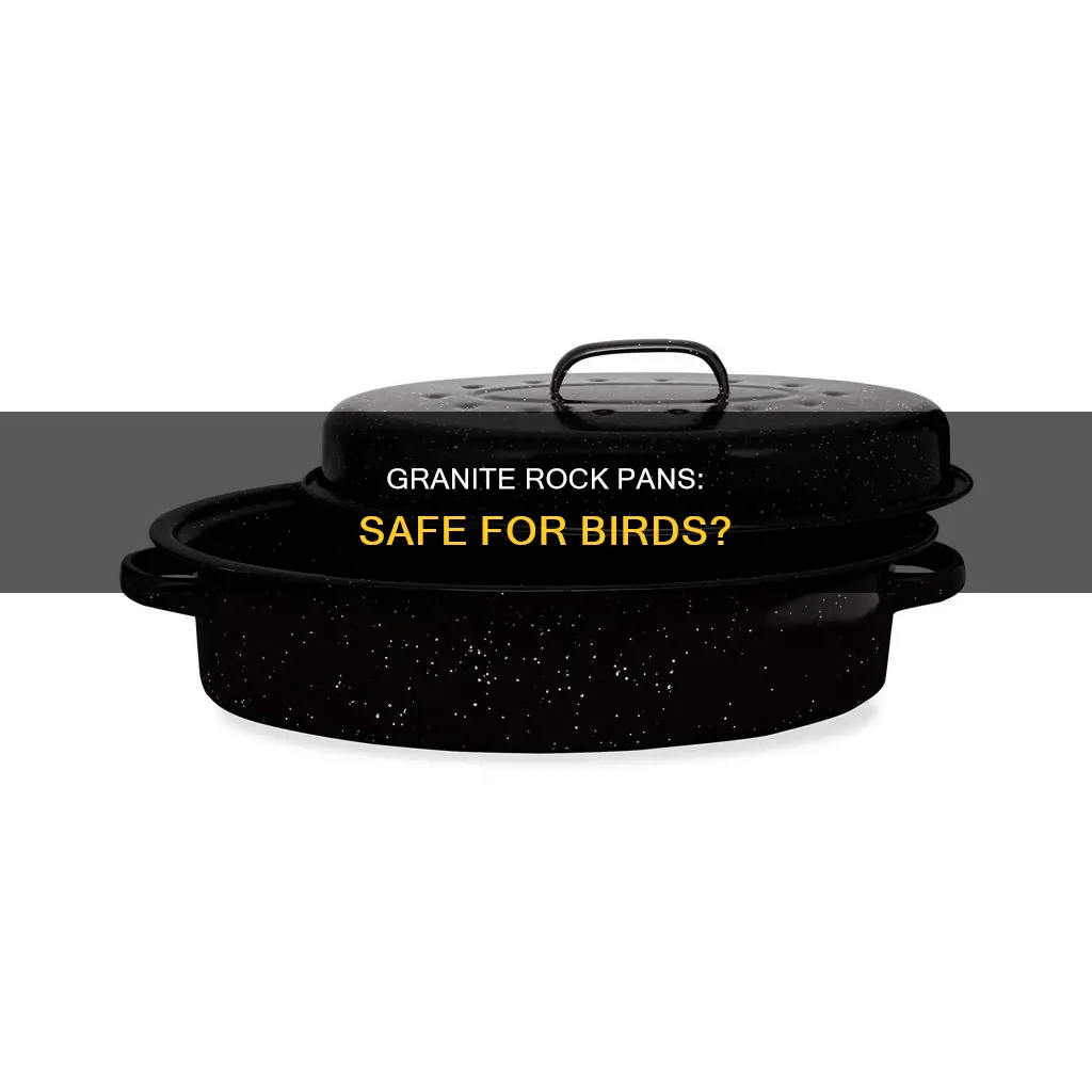 are granite rock pans safe for birds