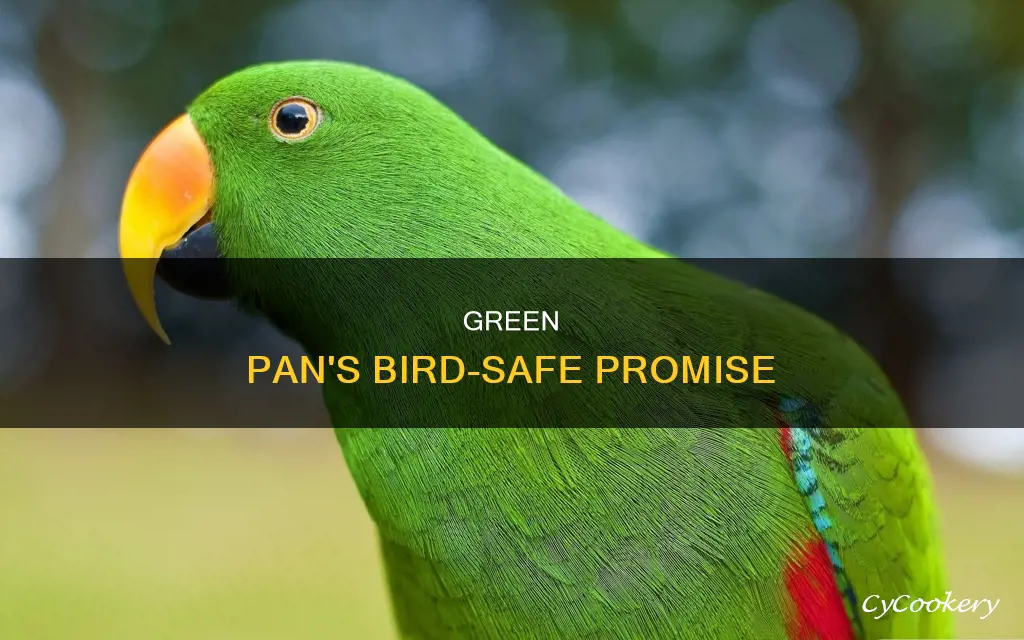 are green pans bird safe