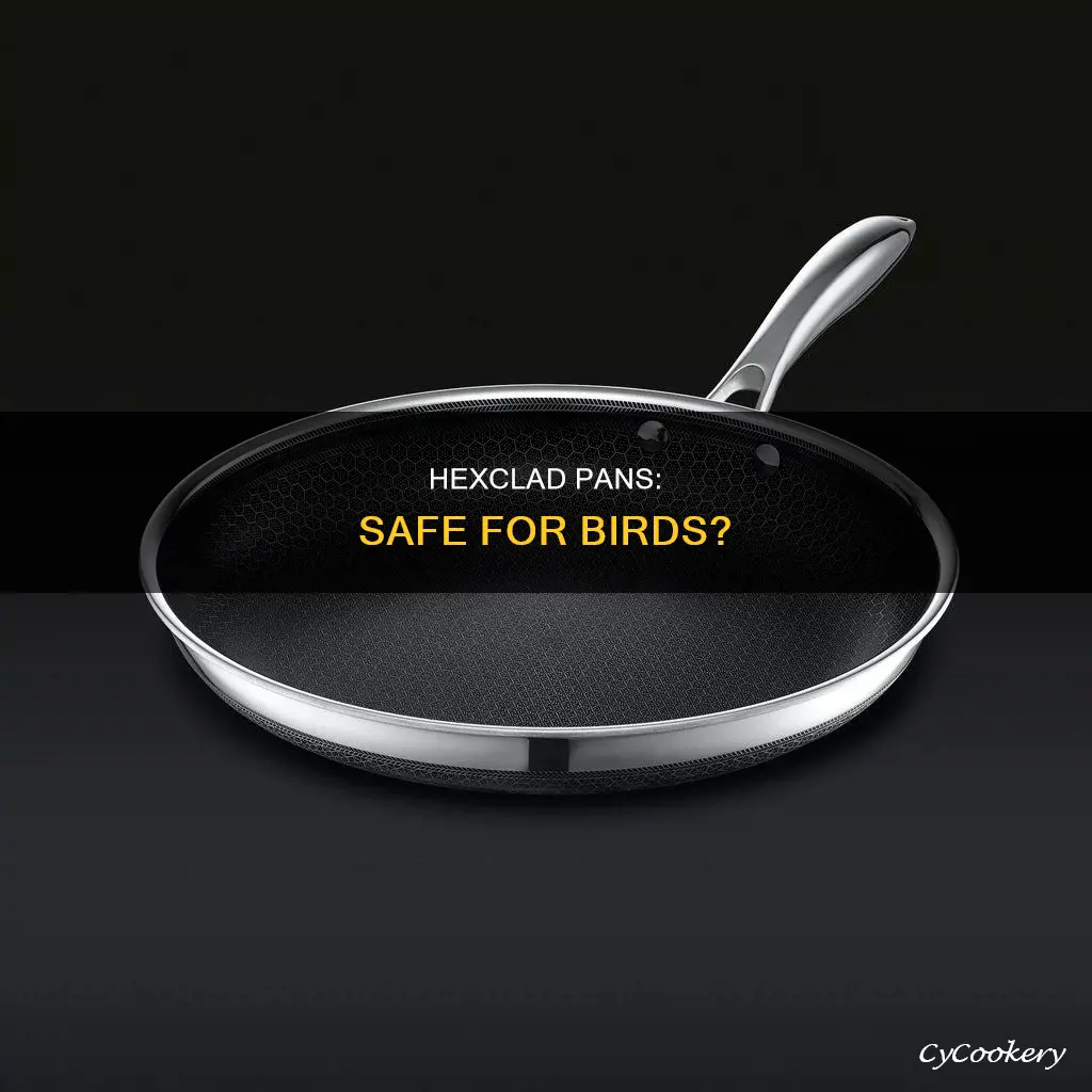 are hexclad pans bird safe