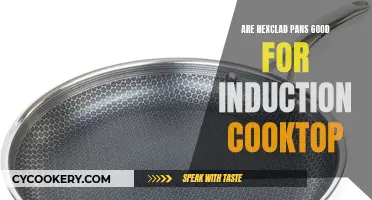 HexClad Pan Review: Induction Cooktop Companion?