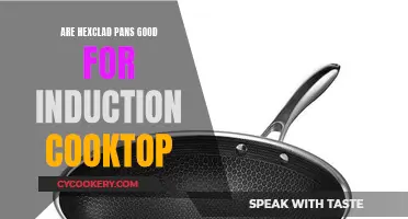 Hexclad Pans: Induction Cooktop's Best Friend?