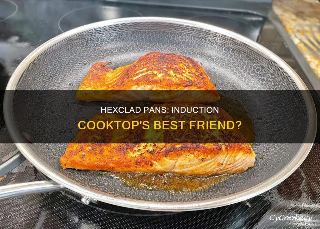 are hexclad pans good for induction cooktop