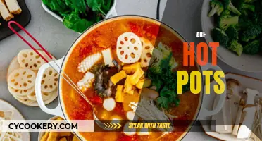 The Sizzling Appeal of Hot Pots: A Cultural Culinary Craze