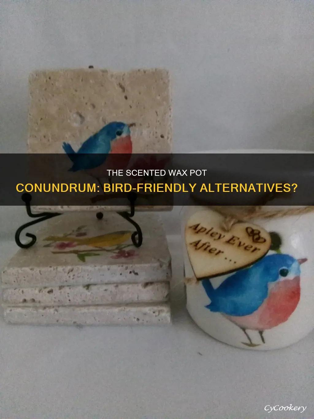 are hot scented wax pots ok to use around birds