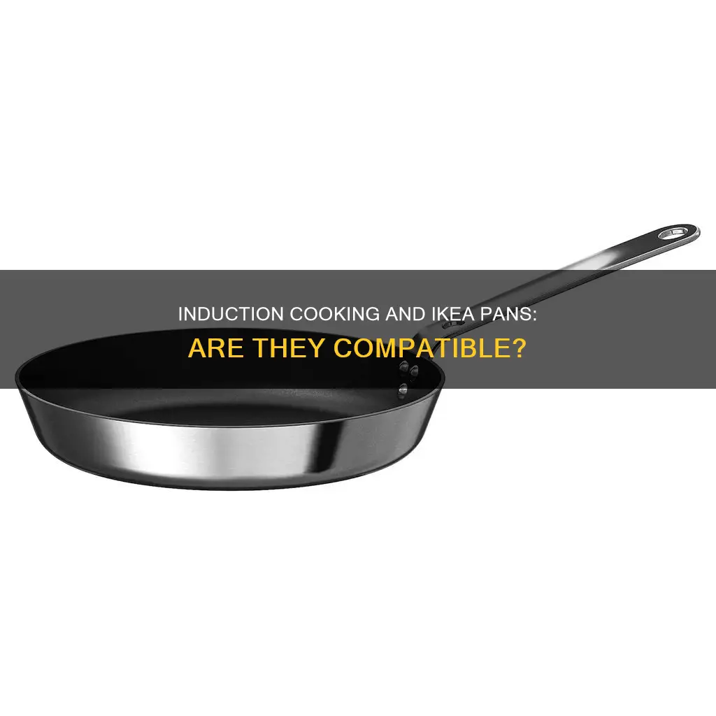 are ikea pans induction compatible