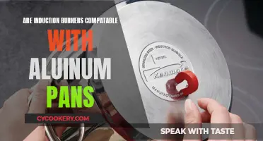 Induction Burners: Do Aluminum Pans Work?