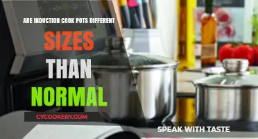 Induction Cooking: Do Pot Sizes Matter?