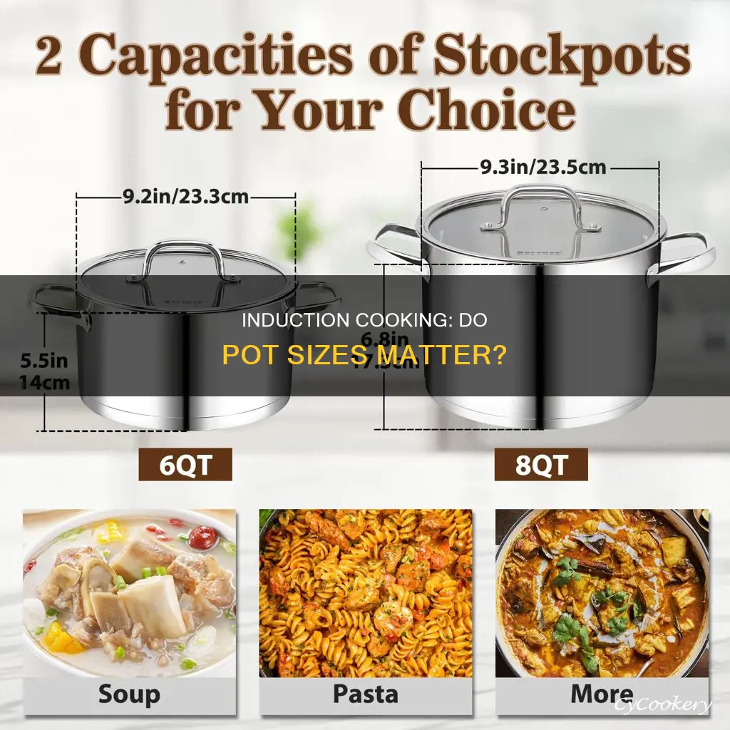 are induction cook pots different sizes than normal