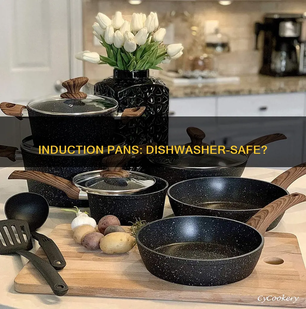 are induction pans dishwasher safe