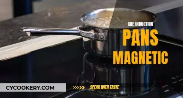 Unveiling the Magnetic Mystery: Are Induction Pans Magnetic?