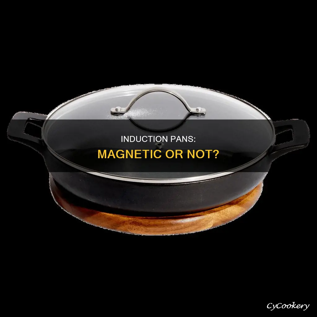 are induction pans magnetic