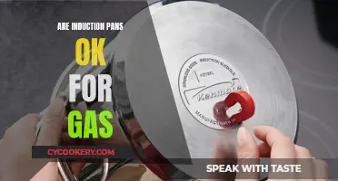 Induction Pans on Gas Stoves: Safe or Not?