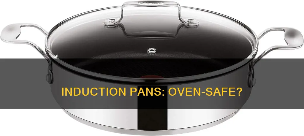 are induction pans oven safe