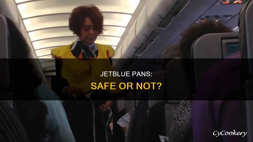 are jetblue pans safe