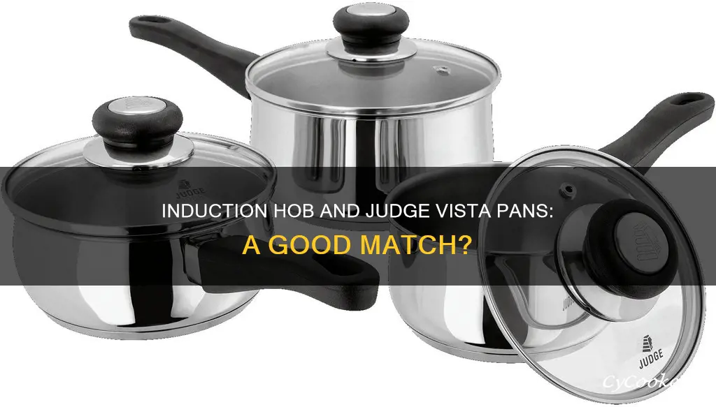 are judge vista pans suitable for induction hobs
