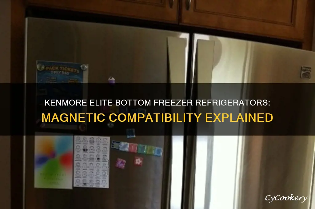 are kenmore elite refrigerators with bottom freezers magnetic