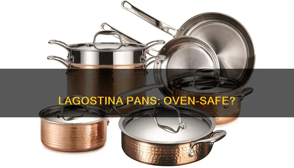 are lagostina pans oven safe