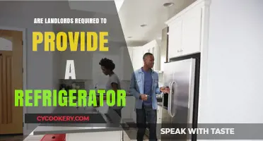 Do Landlords Need to Supply a Fridge? Legal Insights Revealed