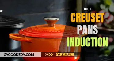 Le Creuset Pans: Induction-Ready Cookware for Your Kitchen