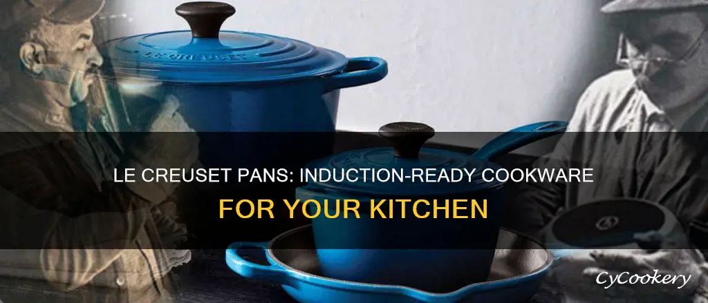 are le creuset pans induction