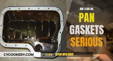 Leaking Oil Pan Gaskets: A Serious Warning Sign?