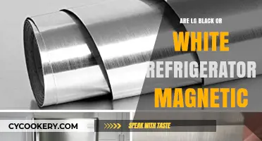 Are LG Black or White Refrigerators Magnetic? Find Out Here