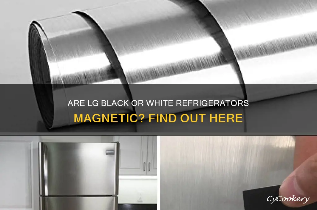 are lg black or white refrigerators magnetic