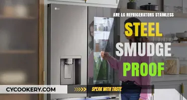 Are LG Stainless Steel Fridges Smudge-Proof? A Detailed Review