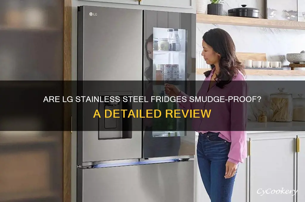 are lg refrigerators stainless steel smudge proof