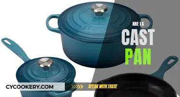 The Mystery of the 'Are LS Cast Pan