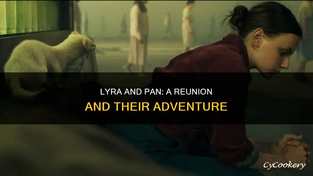 are lyra and pan reunited