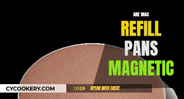 Are MAC Refill Pans Magnetic? The Answer May Surprise You