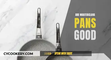 Masterclass Pans: Worth the Hype?