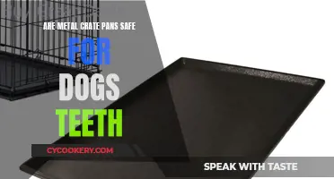 Metal Crate Pans: Safe for Dog Teeth?