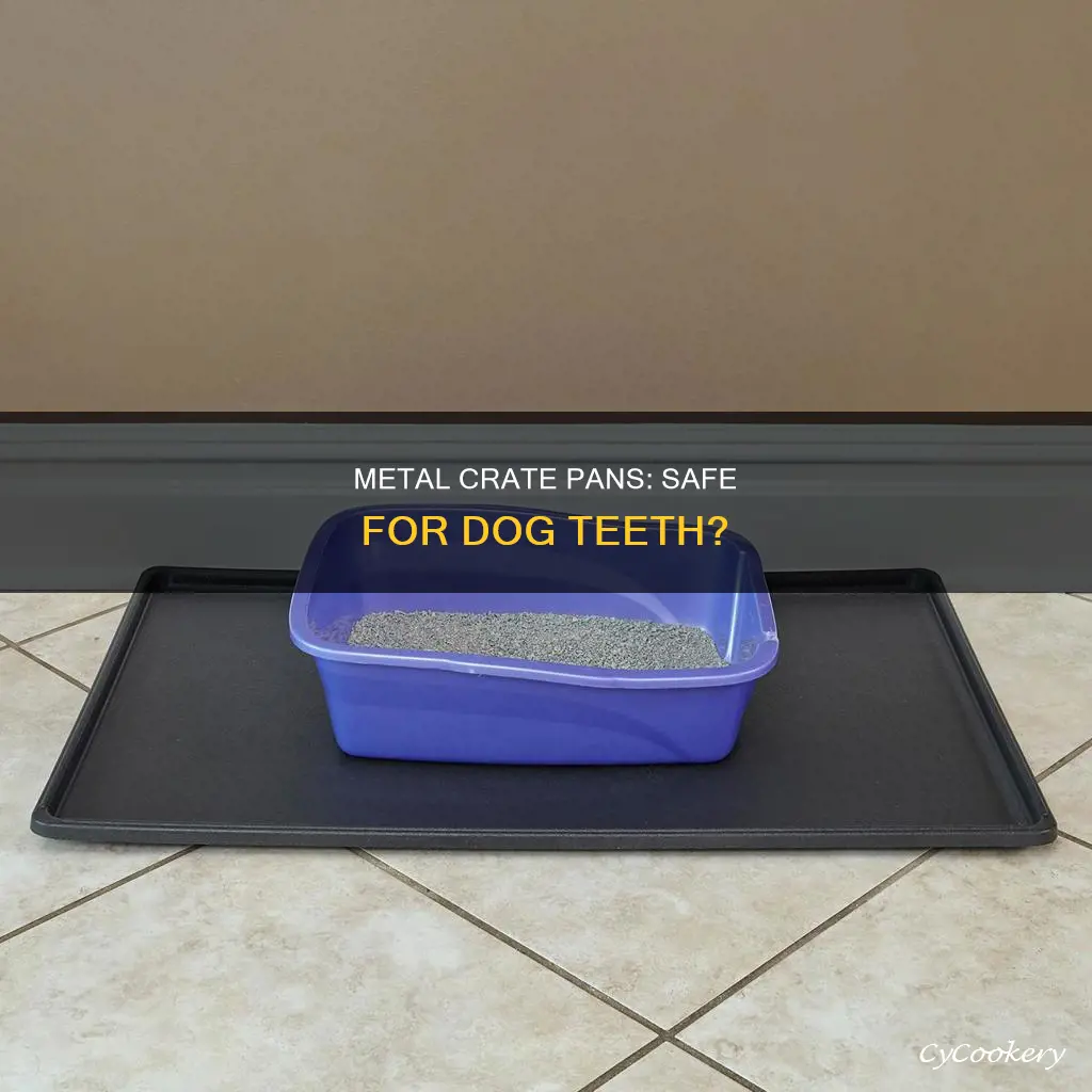 are metal crate pans safe for dogs teeth